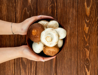 Unveiling the Mysteries: Mushroom Fruiting Body vs. Mycelium