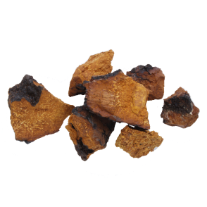 Chaga